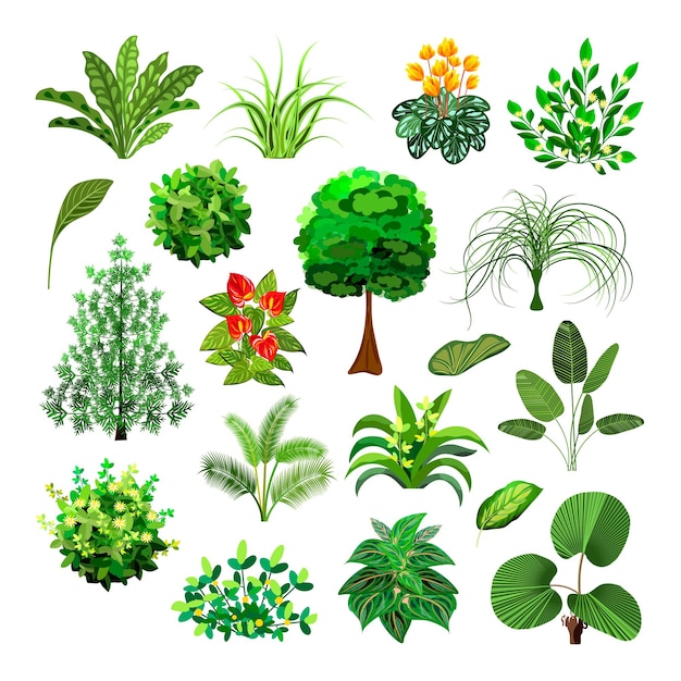 Ensemble de pierres de bûches plantes et arbres