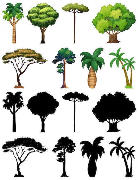 Vecteur ensemble de plante et arbre avec sa silhouette