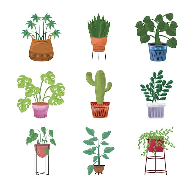 Ensemble de plante en pot de décoration intérieure de jardin