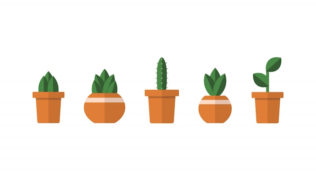 Ensemble De Plantes De Cactus Au Design Plat