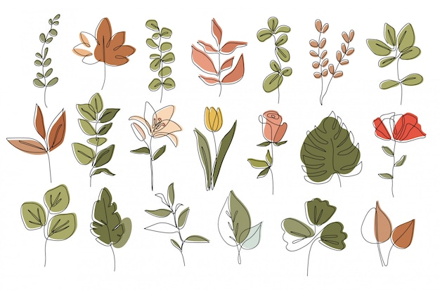 ensemble de plantes, dessin au trait unique, feuilles tropicales, ensemble de plantes botaniques isolé