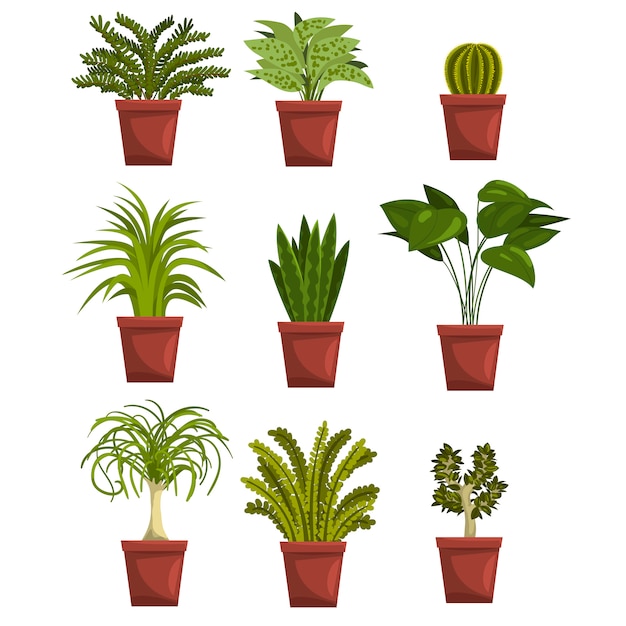 Vecteur ensemble de plantes à feuilles caduques vert pot avec des feuilles. sansevieria, cactus, pipal, bonsaï, palmier. plantes d'intérieur. passe-temps de jardinage. sur blanc