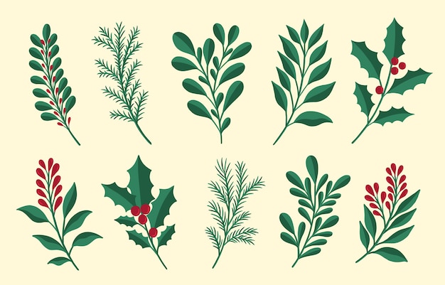 Ensemble de plantes florales de Noëlnouvelle année collection branche leafdecoration conception botanique
