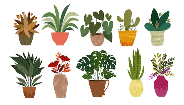 Ensemble de plantes en illustration vectorielle de pot Plantes d'intérieur pour la décoration intérieure de la maison ou du bureau