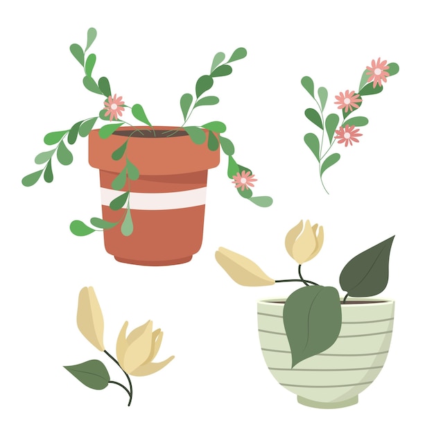 Vecteur ensemble de plantes d'intérieur décoratives pot de fleurs objets isolés collection de pots de fleurs de plantes d'intérieur