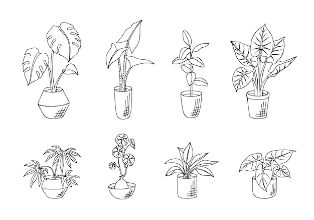 Ensemble de plantes d'intérieur doodle en pots isolés sur fond blanc