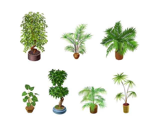 Ensemble de plantes d'intérieur isolé