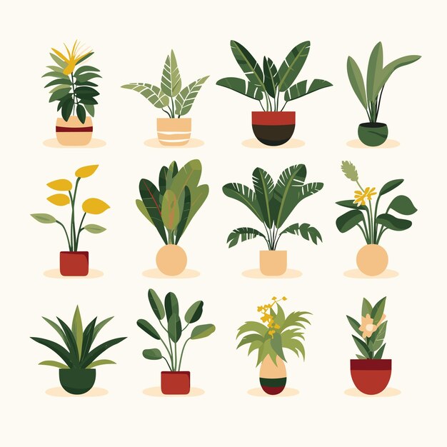 Ensemble De Plantes En Pot Pour La Maison Différentes Plantes D'intérieur Isolées Sur Un Fond Blanc Illustration Vectorielle