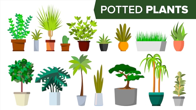 Vecteur ensemble de plantes en pot