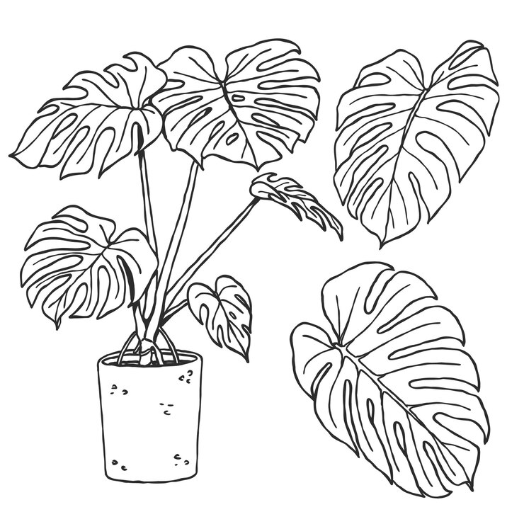 Vecteur un ensemble de plantes tropicales dessinées à la main illustration d'art en ligne