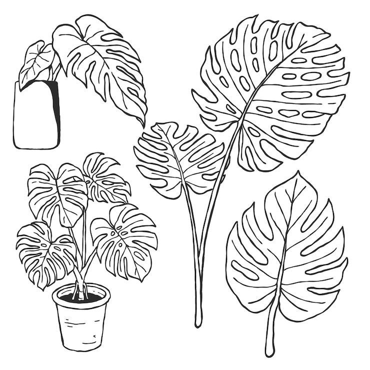Vecteur un ensemble de plantes tropicales dessinées à la main illustration d'art en ligne