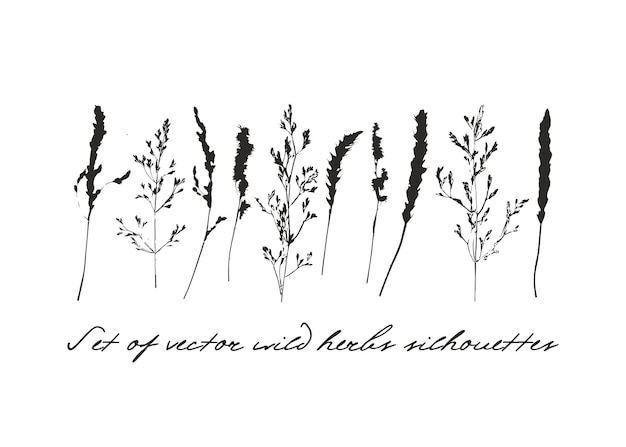 Ensemble de plantes vecteur silhouette Éléments d'illustration d'été ESP 10