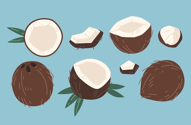 ensemble plat de noix de coco