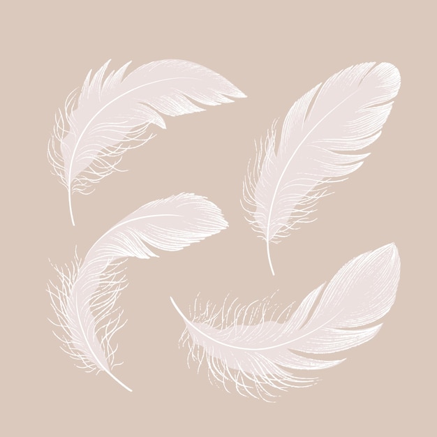 Un ensemble de plumes délicates. Illustration vectorielle