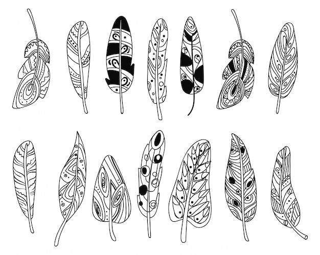 Vecteur ensemble de plumes d'oiseaux stylisées. collection de plumes pour la décoration.