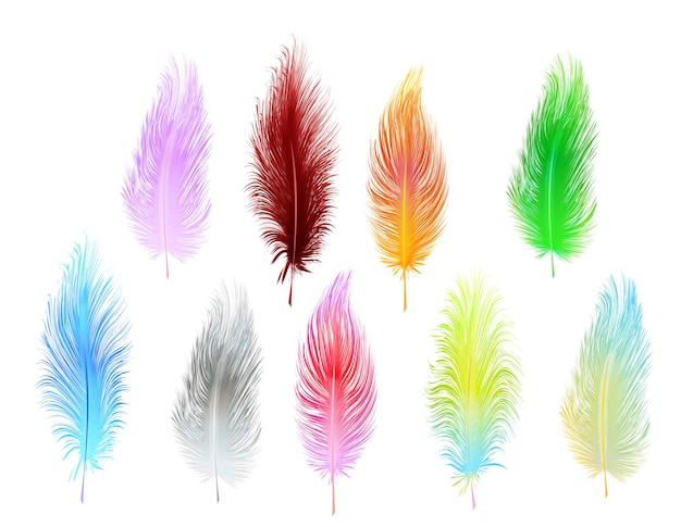 Ensemble de plumes vecteur multicolore isolé sur fond blanc