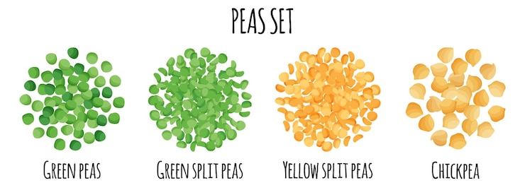 Vecteur ensemble de pois avec green yellow split et pois chiches