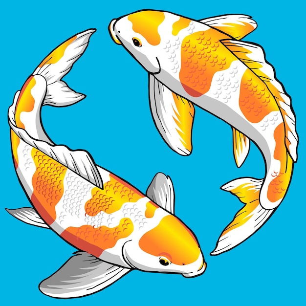 Ensemble De Poissons Ochiba Koi Pour Pack Premium