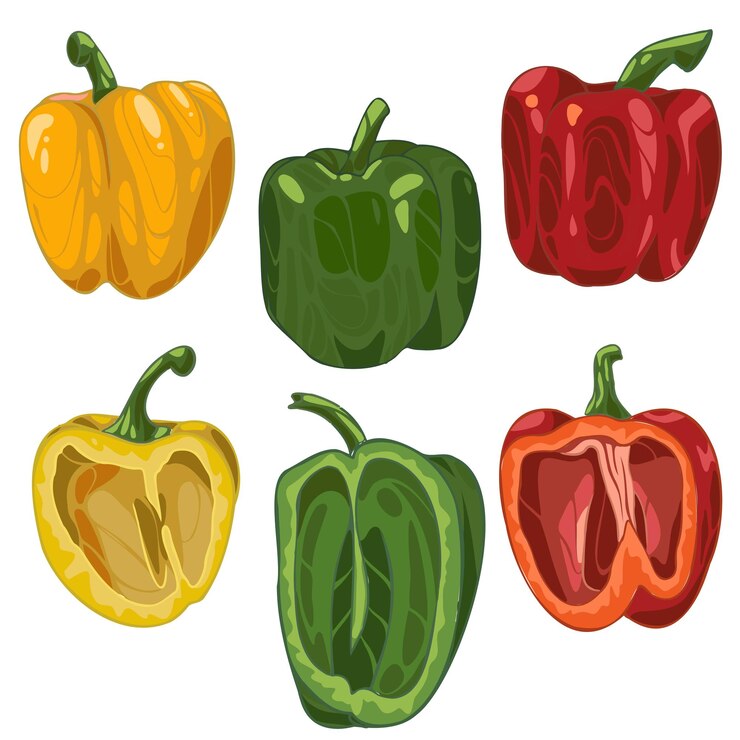 Vecteur un ensemble de poivrons de différentes couleurs rouge jaune et vert entier et en section