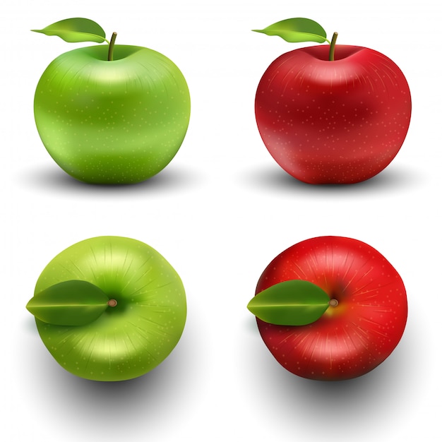 Vecteur ensemble pomme verte et rouge