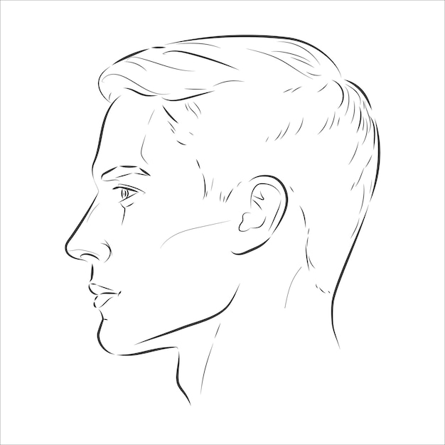 Vecteur ensemble de portrait de visage d'homme sous trois angles et tours différents d'une tête masculine. croquis de ligne vectorielle en gros plan. vue différente de face, de profil, les trois quarts d'un garçon.