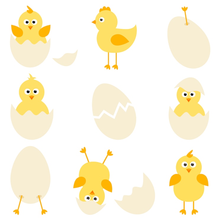 Vecteur ensemble de poulets de dessin animé