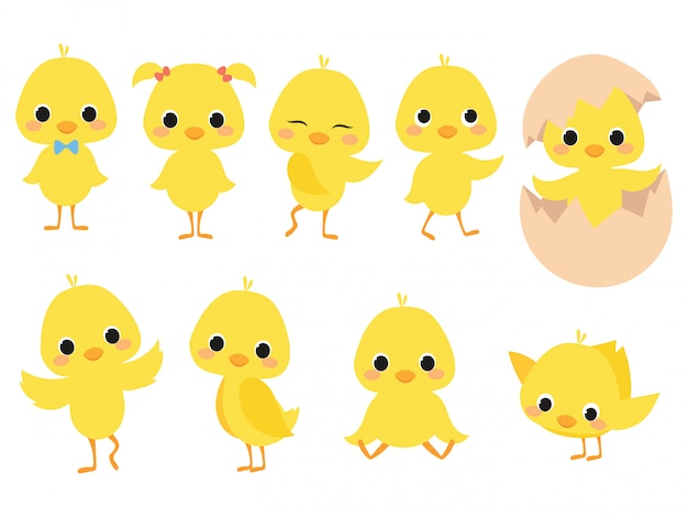 Vecteur ensemble de poussins de dessin animé. une collection de poussins jaunes mignons. illustration de petits poulets pour les enfants.