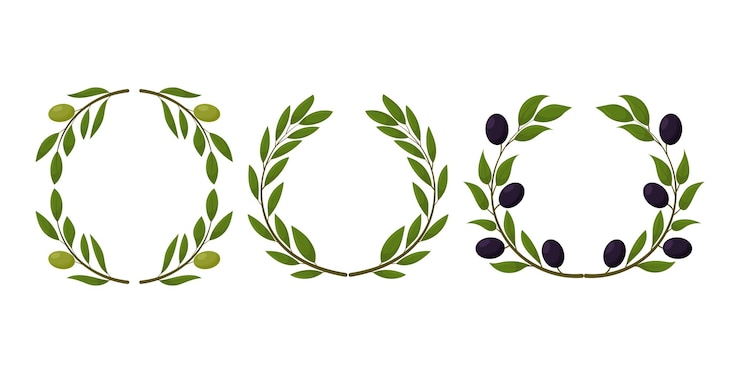 Vecteur ensemble de produits d'olive biologique couronne d'olives noires