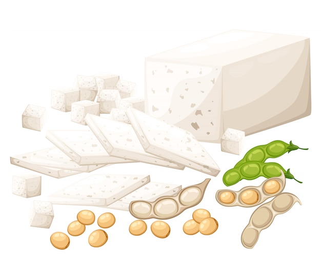 Vecteur ensemble de produits de soja tofu et haricots illustration de nourriture végétarienne biologique sur la page du site web fond blanc et application mobile