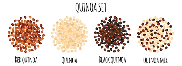 Vecteur ensemble de quinoa avec rouge blanc noir et mélange de quinoa