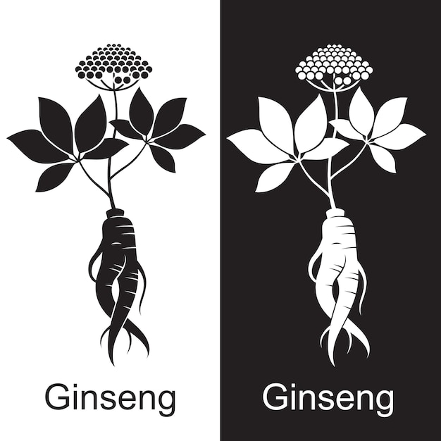 Vecteur ensemble de racines de ginseng