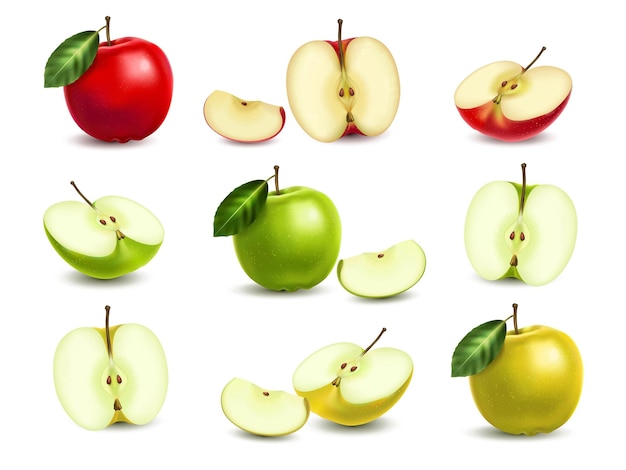 Vecteur ensemble réaliste de pommes entières et coupées de différentes couleurs illustration vectorielle isolée