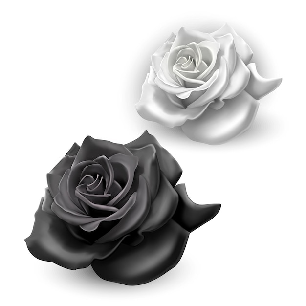 Ensemble De Roses Noires Et Blanches