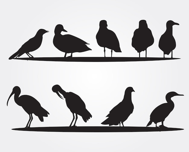 Ensemble De Silhouette D'oiseaux