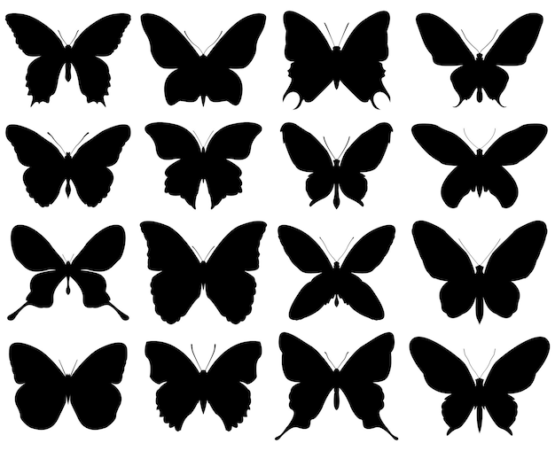 Vecteur ensemble de silhouette de papillon