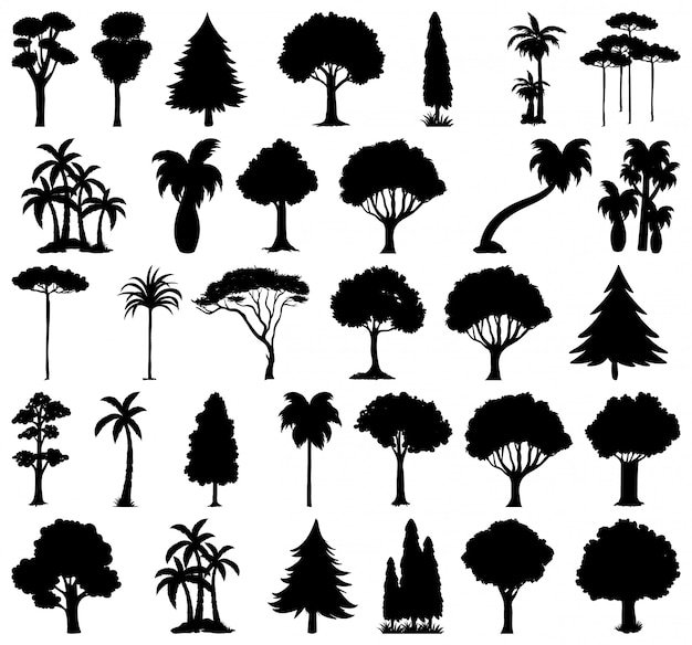 Ensemble De Silhouette De Plante Et D'arbre