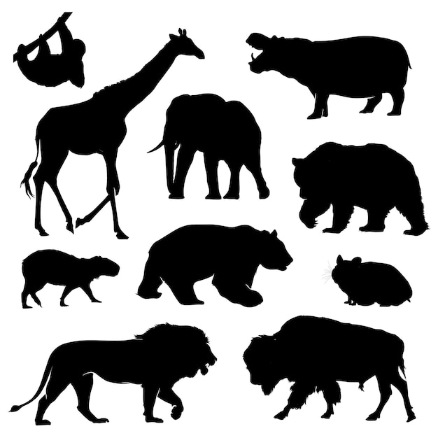 Ensemble De Silhouettes D'animaux Sauvages Africains. Animal Sauvage Forme Ombre Isolé Sur Fond Blanc.