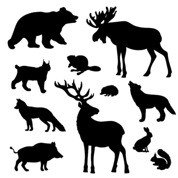 Ensemble De Silhouettes D'animaux Sauvages De La Forêt