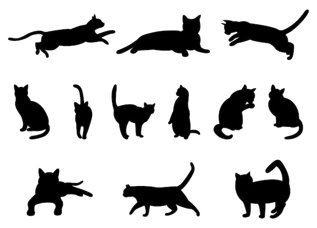 Ensemble De Silhouettes De Chat