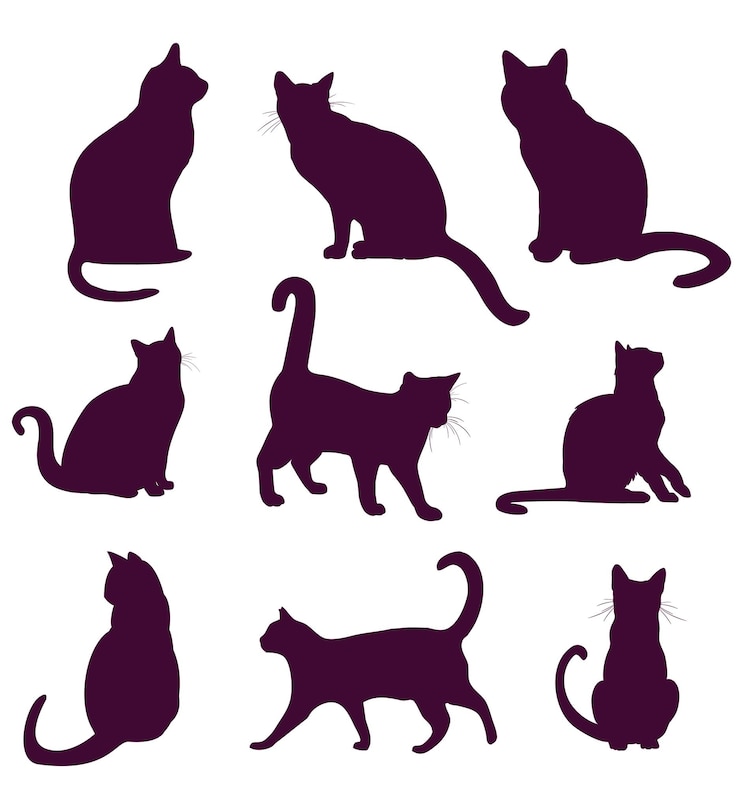 Vecteur ensemble de silhouettes de chats aléatoires
