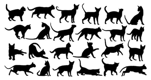 L'ensemble des silhouettes de chats domestiques