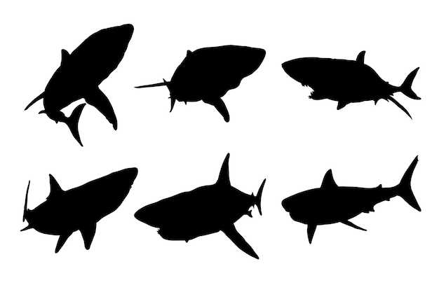 Ensemble de silhouettes de conception de vecteur de requins