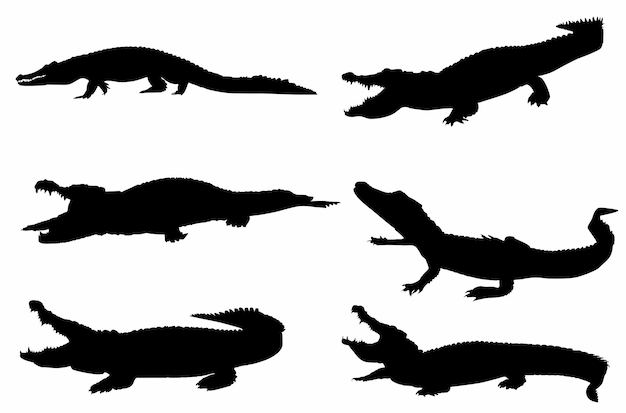 Ensemble De Silhouettes De Crocodiles, Logos, Icônes,