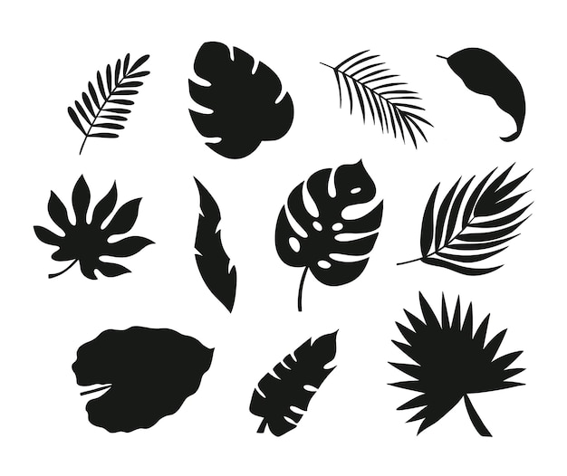 Ensemble de silhouettes de feuilles de palmier