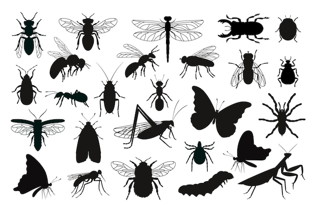 Ensemble de silhouettes d'insectes. Pochoirs noirs formes d'insectes, contour des créatures de l'entomologie scientifique, contours d'illustration vectorielle de coléoptères isolés sur fond blanc