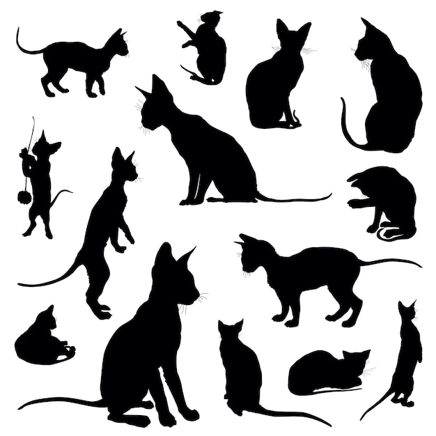 Ensemble De Silhouettes Noires De Chats