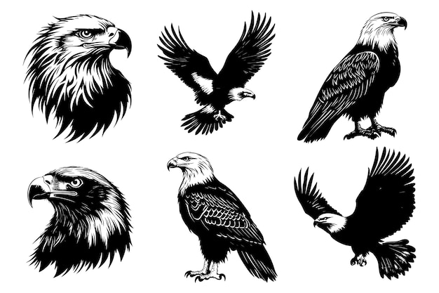 Un ensemble de silhouettes d'oiseaux aigles