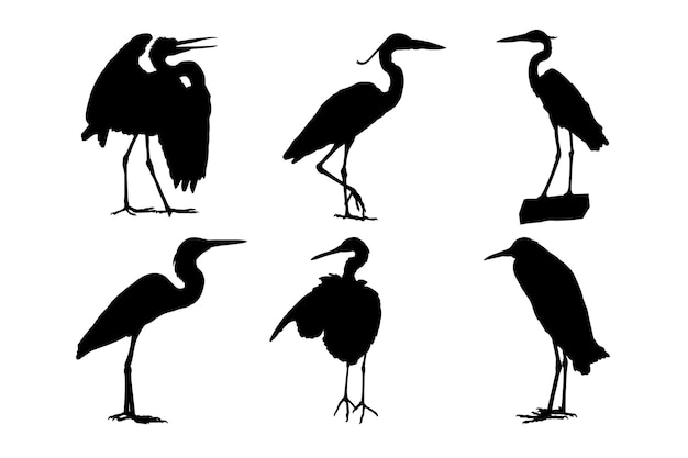 Vecteur ensemble de silhouettes d'oiseaux héron