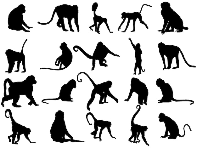 L'ensemble Des Silhouettes De Singe - Silhouette D'animaux