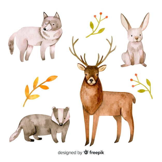 Ensemble De Style Aquarelle Animaux De La Forêt